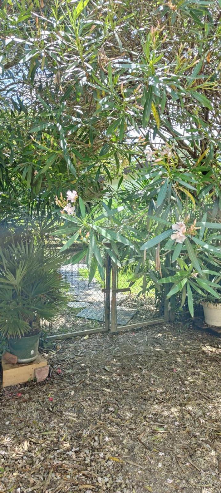 Villaluigia - Oasi Le Palme Padova Bagian luar foto