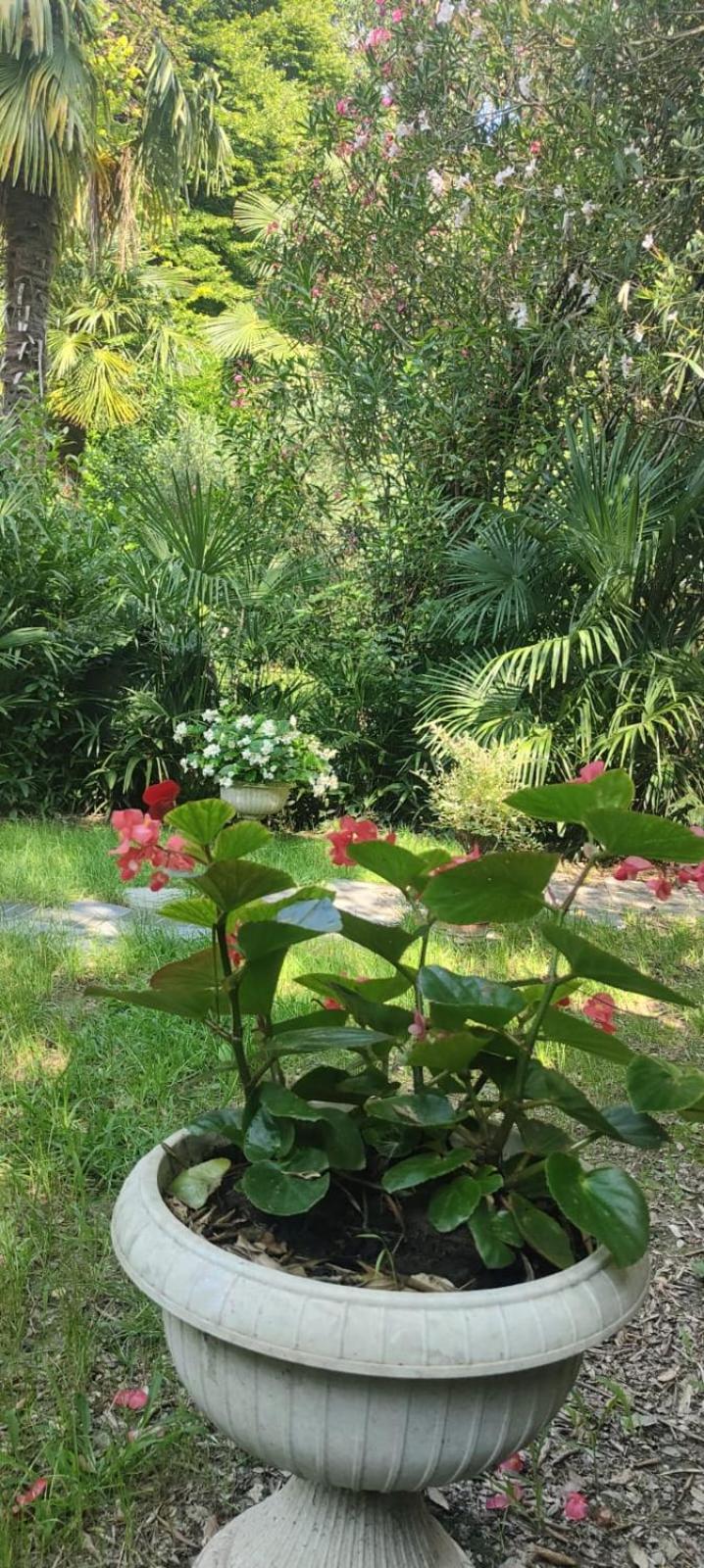 Villaluigia - Oasi Le Palme Padova Bagian luar foto