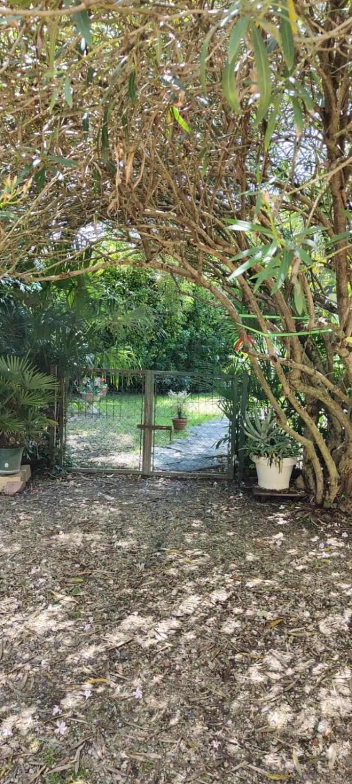 Villaluigia - Oasi Le Palme Padova Bagian luar foto