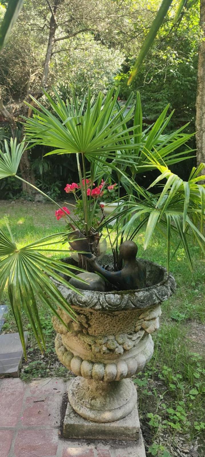 Villaluigia - Oasi Le Palme Padova Bagian luar foto