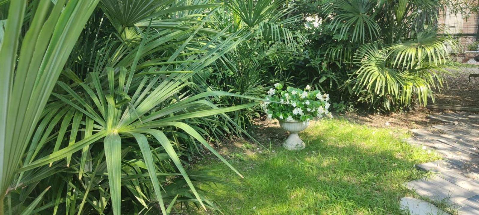 Villaluigia - Oasi Le Palme Padova Bagian luar foto