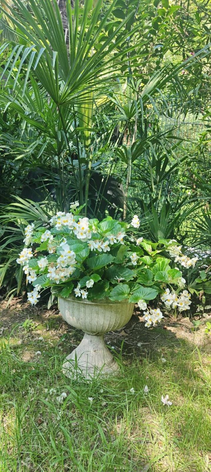 Villaluigia - Oasi Le Palme Padova Bagian luar foto